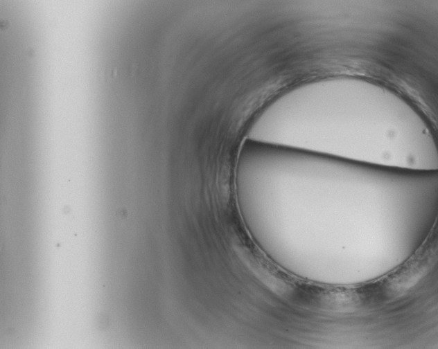 X0000066520402200603170955