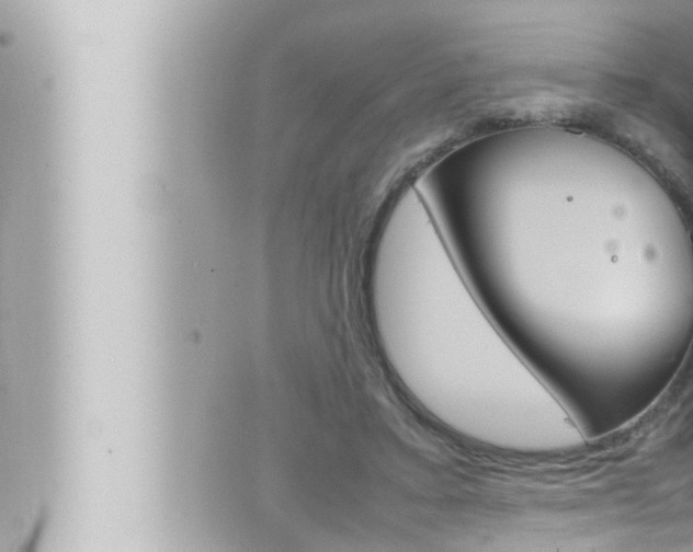 X0000066520403200603170955