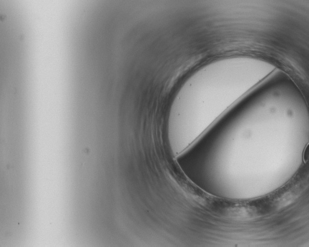 X0000066520404200603170955