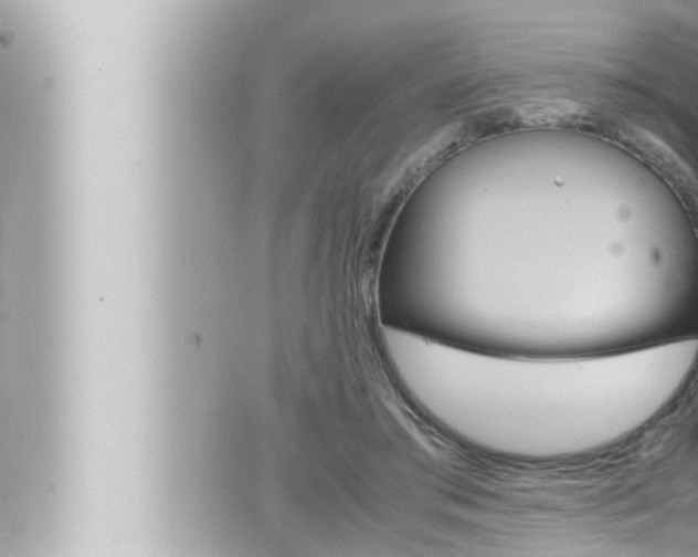 X0000066520405200603170955