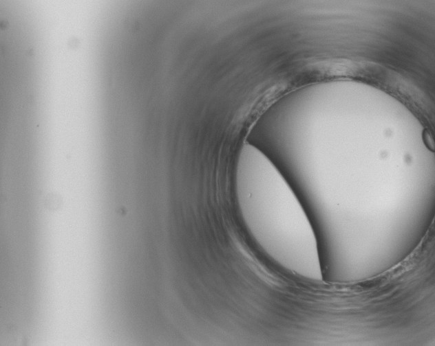 X0000066520406200603170955