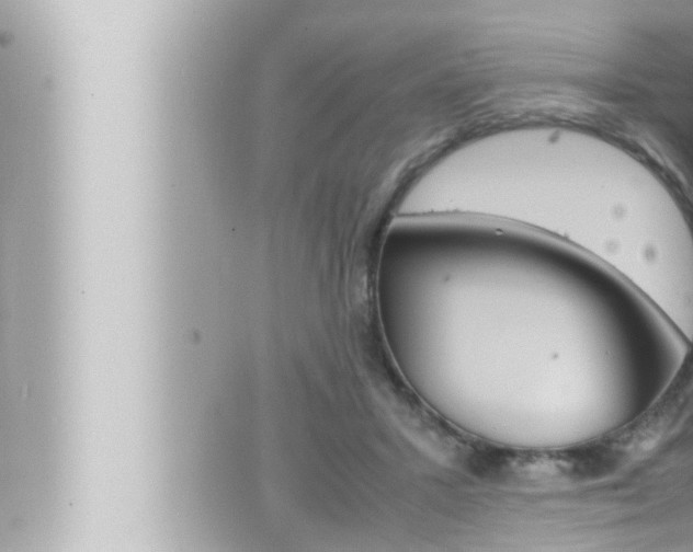 X0000066520407200603170955