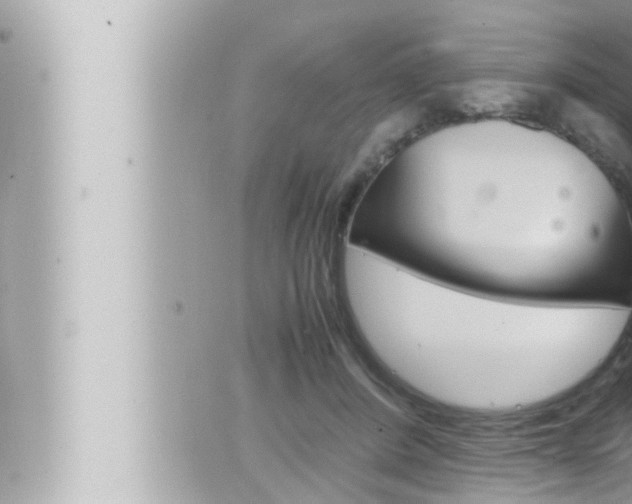 X0000066520408200603170955