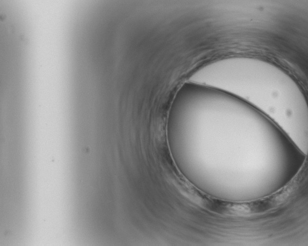 X0000066520409200603170955