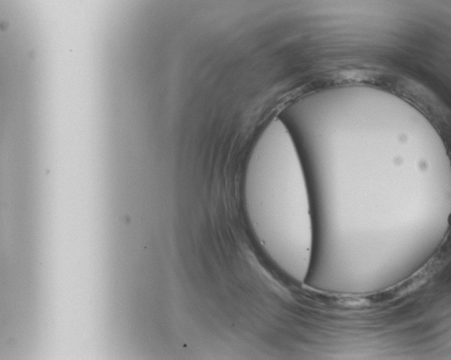 X0000066520410200603170955