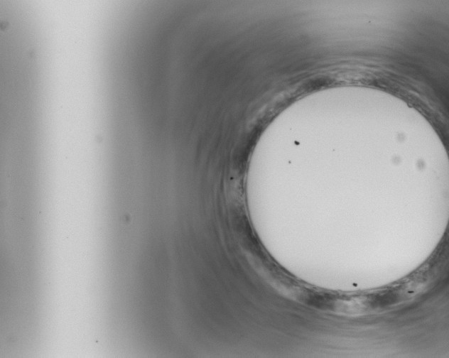 X0000066520411200603170955