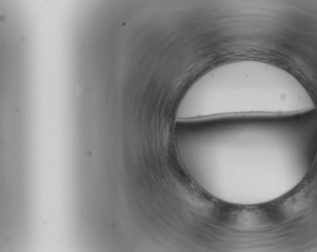 X0000066520412200603170955