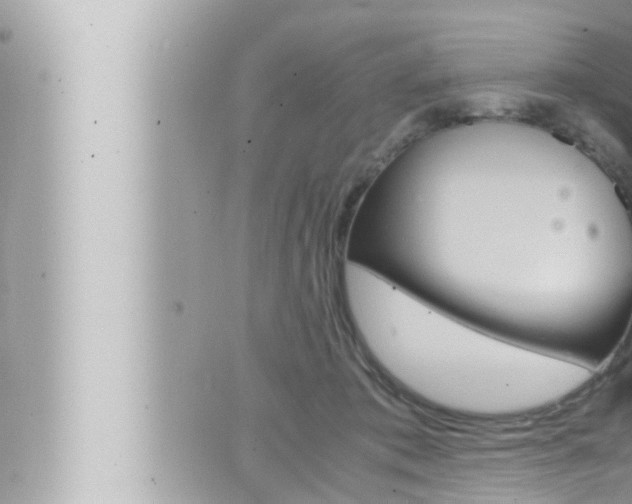 X0000066520413200603170955