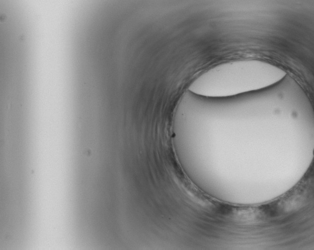 X0000066520414200603170955