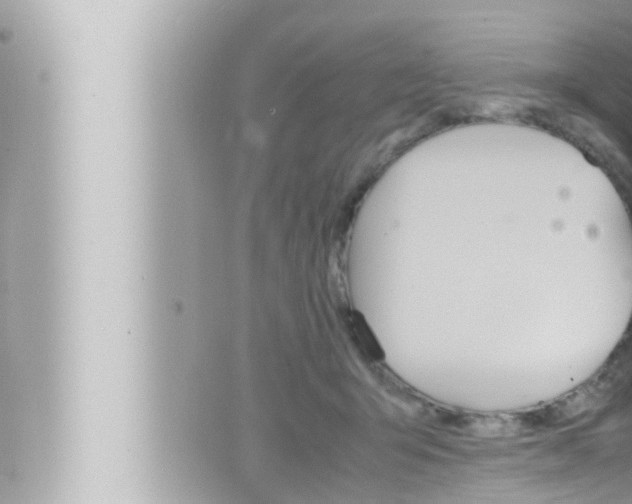 X0000066520415200603170955