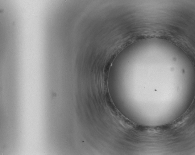 X0000066520416200603170955