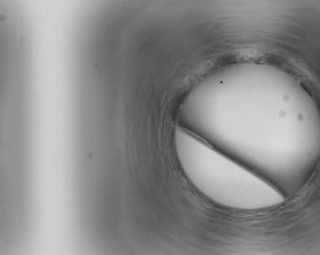 X0000066520417200603170955