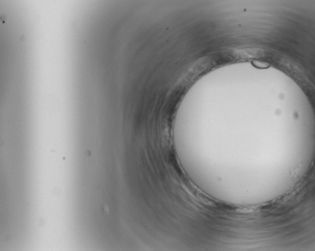 X0000066520418200603170955