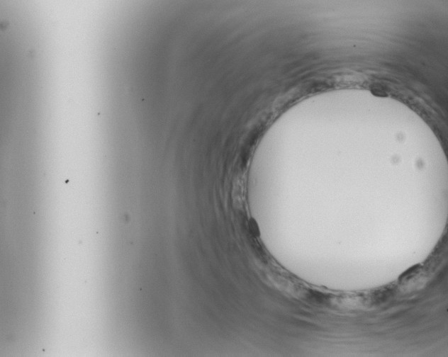 X0000066520419200603170955