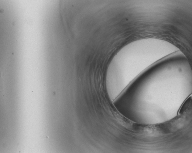 X0000066520420200603170955