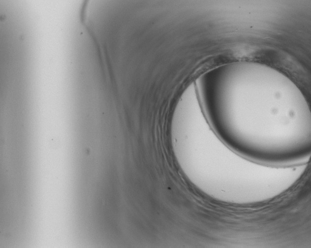 X0000066520421200603170955