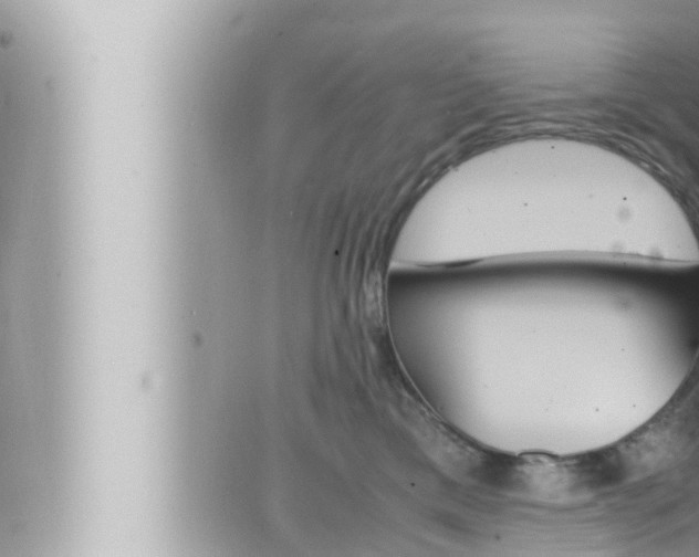 X0000066520425200603170955