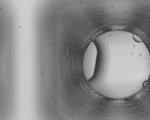 X0000066520426200603170955