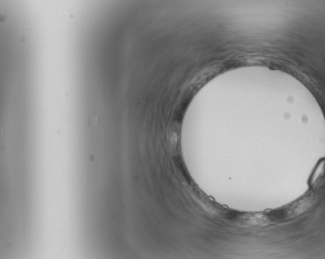 X0000066520427200603170955