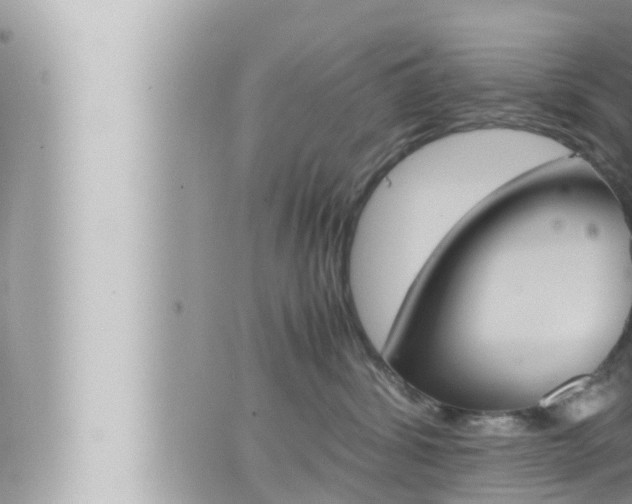 X0000066520428200603170955