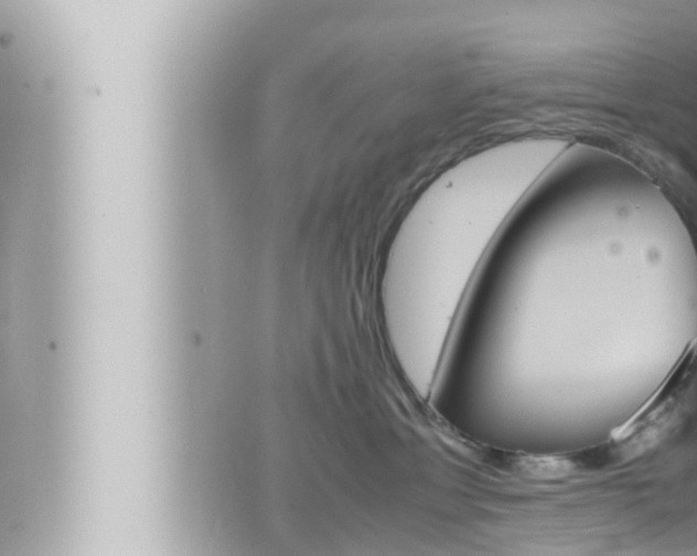 X0000066520429200603170955