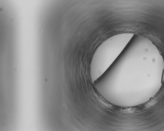 X0000066520430200603170955