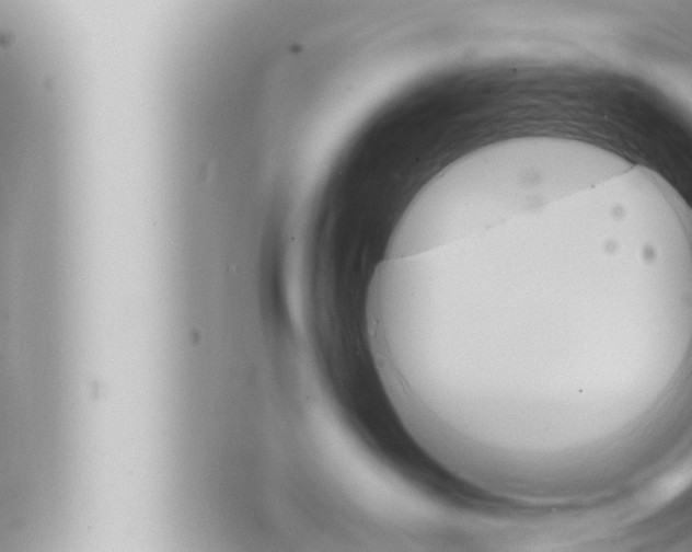 X0000066520431200603170955