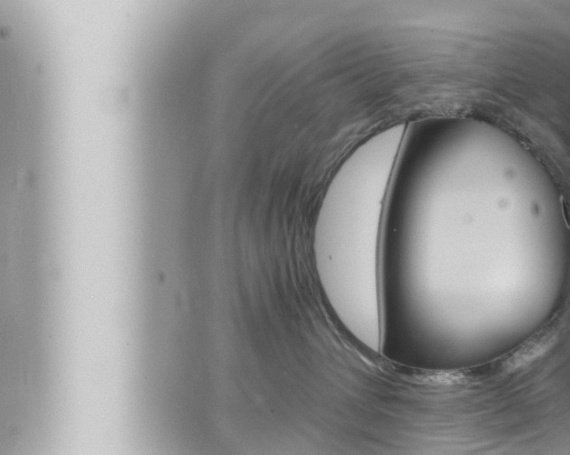 X0000066520432200603170955