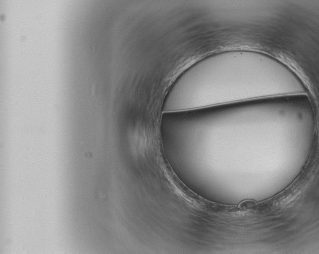 X0000066520433200603170954