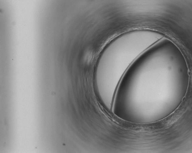 X0000066520434200603170954