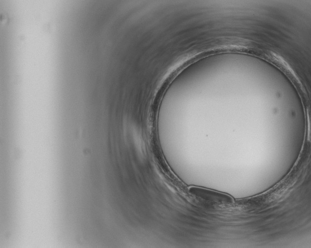 X0000066520435200603170954