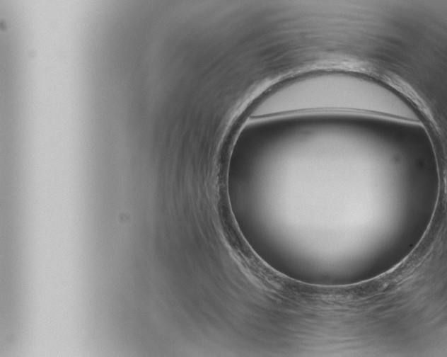 X0000066520436200603170954