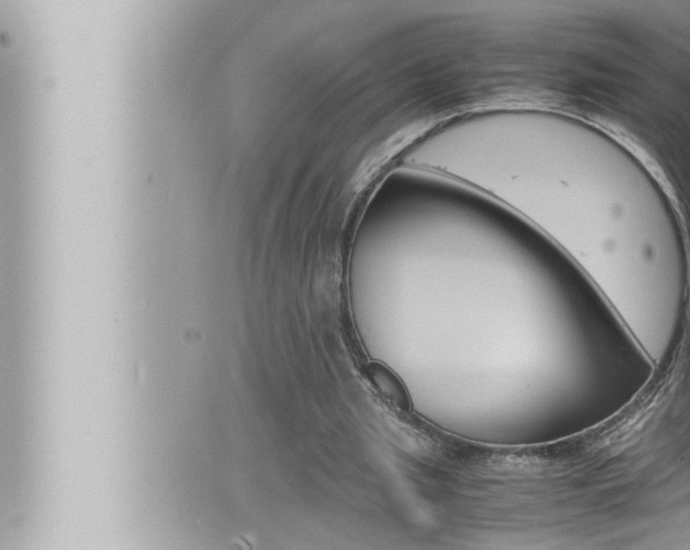 X0000066520437200603170954