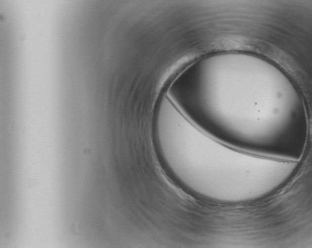 X0000066520438200603170954