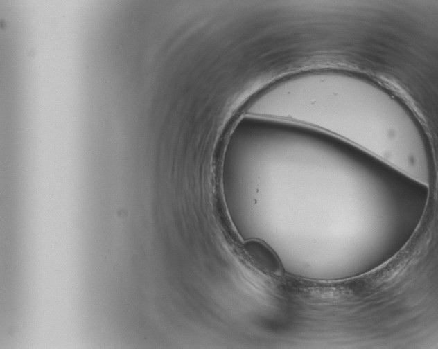 X0000066520439200603170954