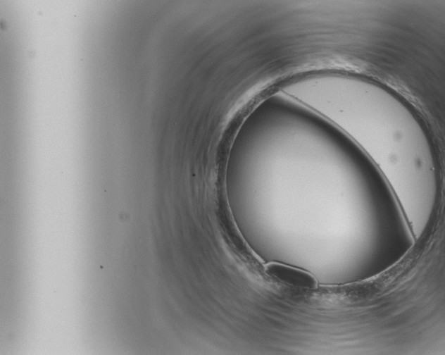 X0000066520440200603170954