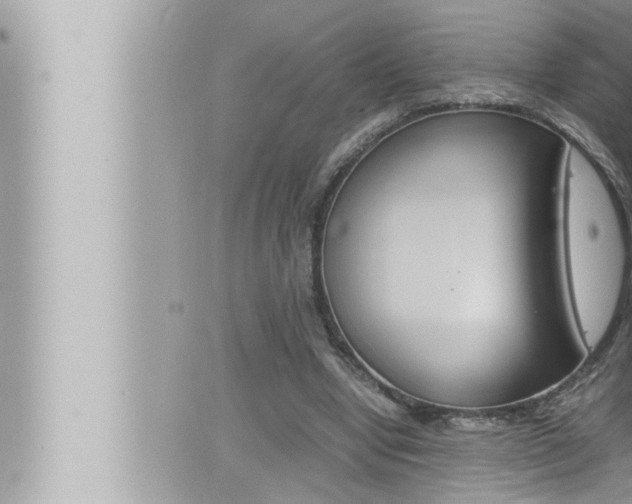 X0000066520442200603170954