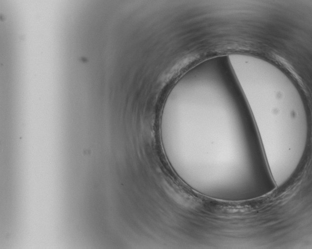 X0000066520443200603170954