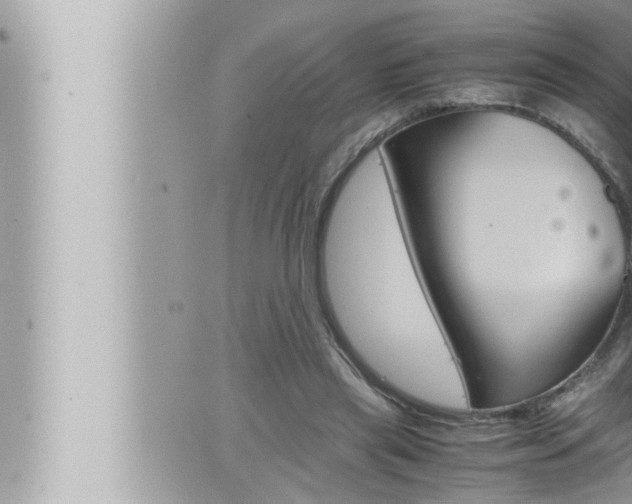 X0000066520445200603170954