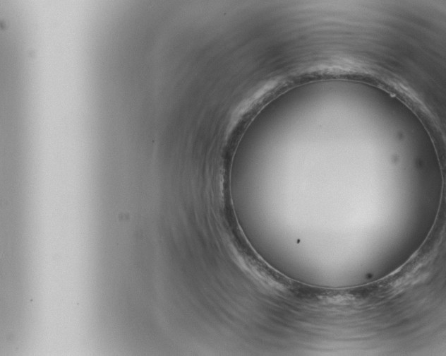 X0000066520446200603170954