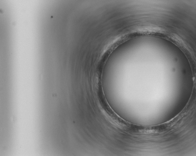 X0000066520448200603170954