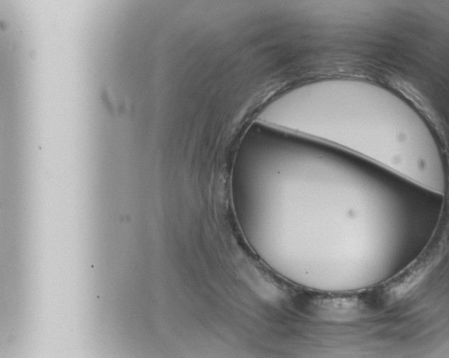 X0000066520449200603170954