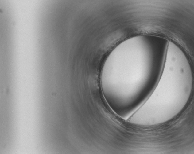 X0000066520450200603170954