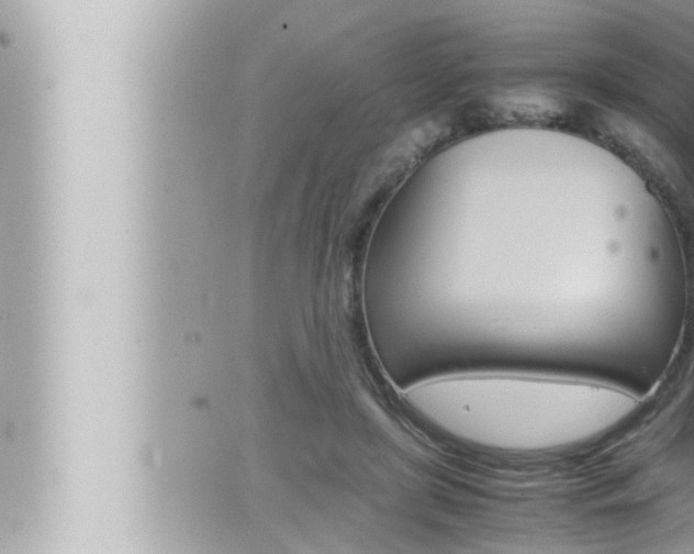 X0000066520451200603170954