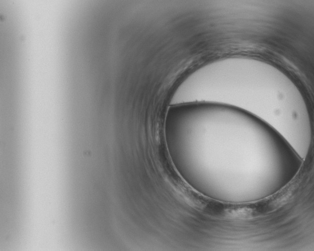 X0000066520452200603170954