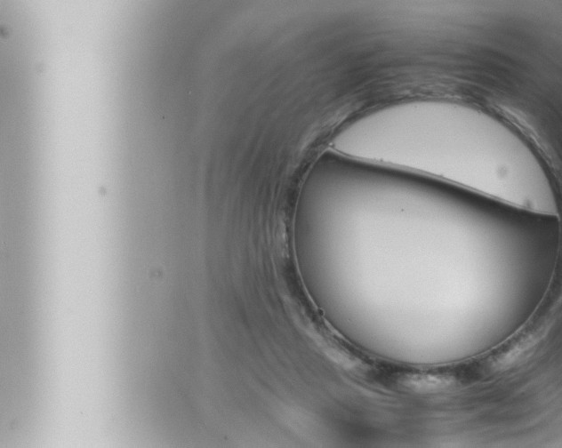 X0000066520453200603170954