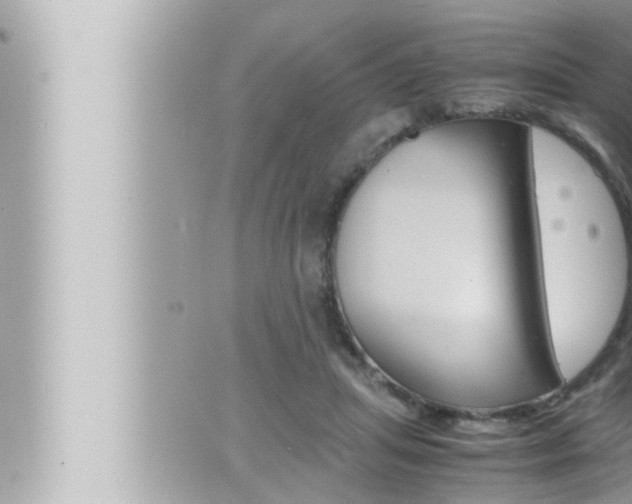 X0000066520455200603170954