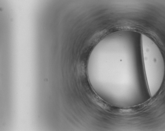 X0000066520457200603170954