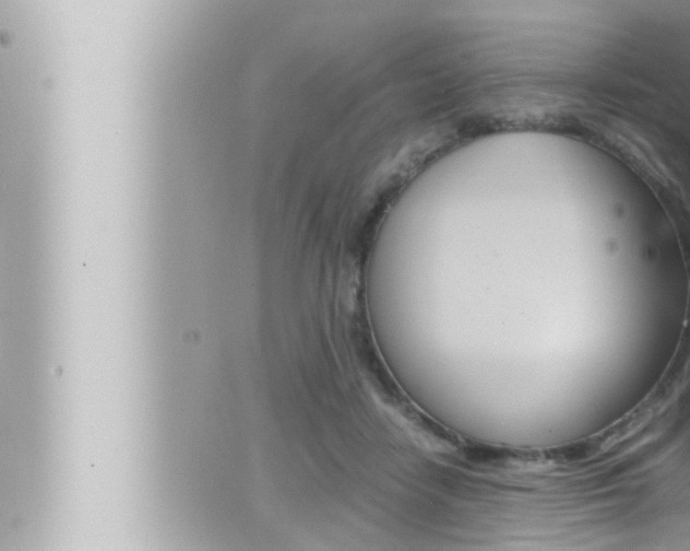 X0000066520458200603170954