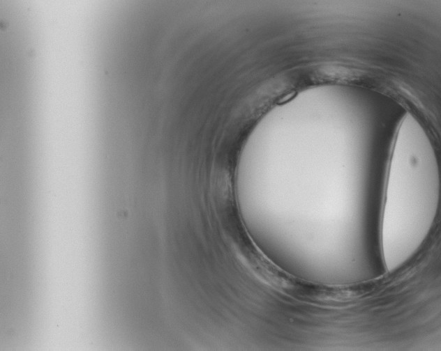 X0000066520459200603170954